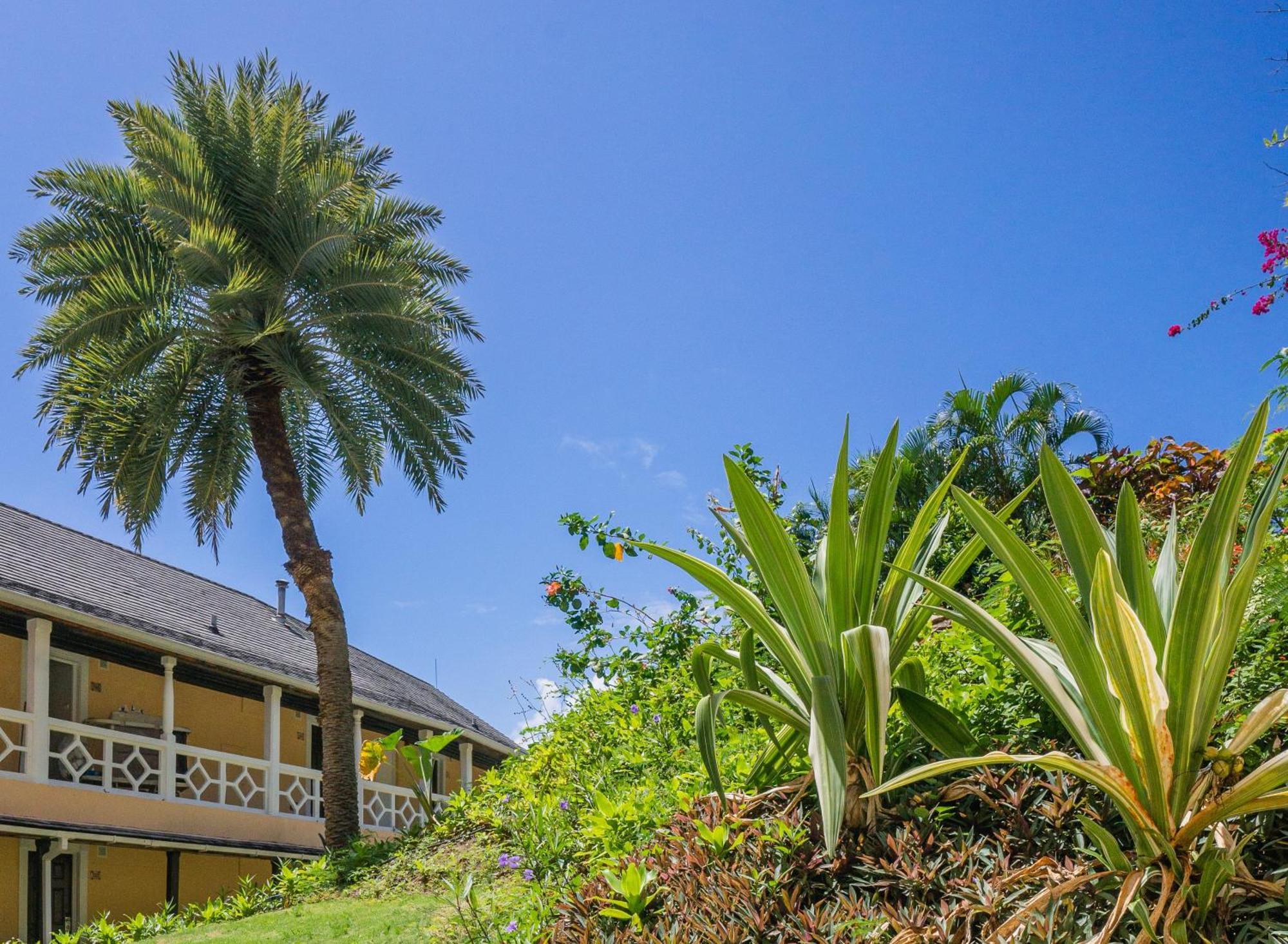 Bodyholiday St Lucia Gros Islet Exteriér fotografie